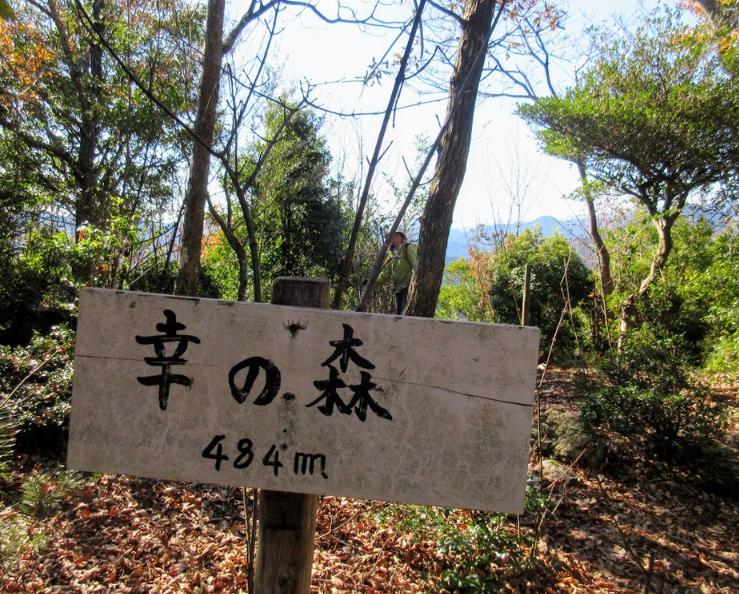 網掛山　幸の森